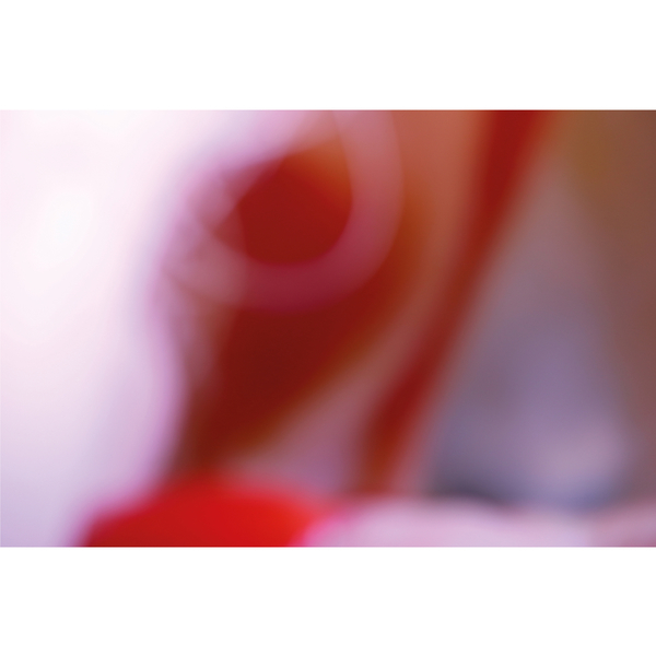 T.O.P. records: Cave Walls (Part I)- Rhyw&nbsp;(AVIAN)